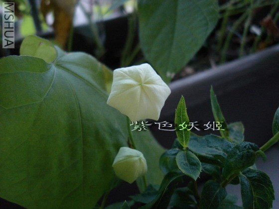 �۹����ף�-0_resize.jpg