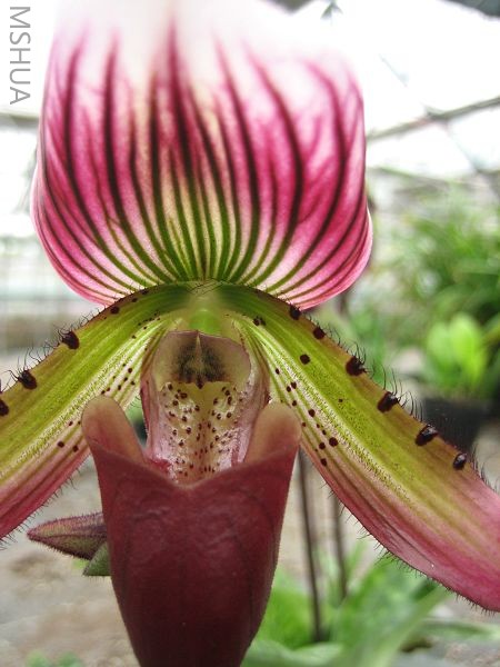 ���� (1).jpg