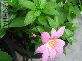 ��Ƭ0624 005_��С��С.jpg