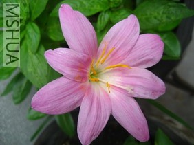 ��Ƭ0624 006_��С��С.jpg