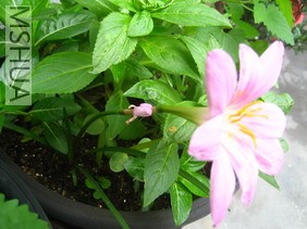 ��Ƭ0624 004_��С��С.jpg