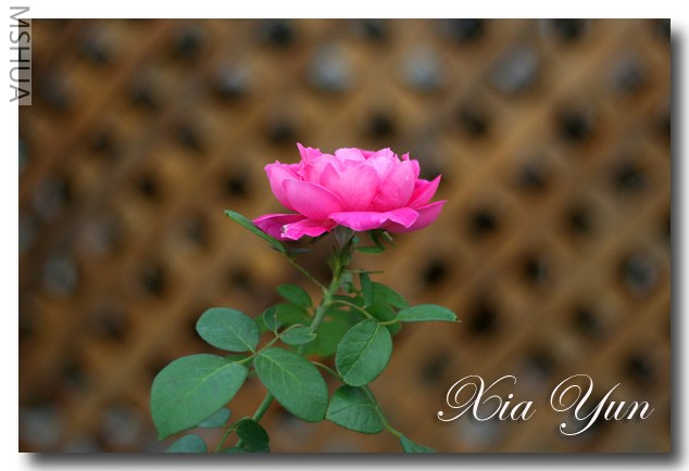 IMG_7925 ��������.jpg