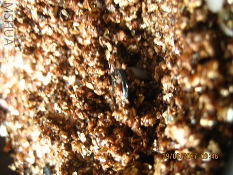 ��Ƭ0629 006_��С��С.jpg