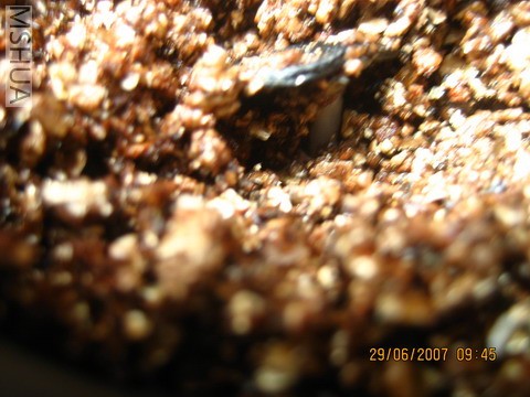 ��Ƭ0629 003_��С��С.jpg