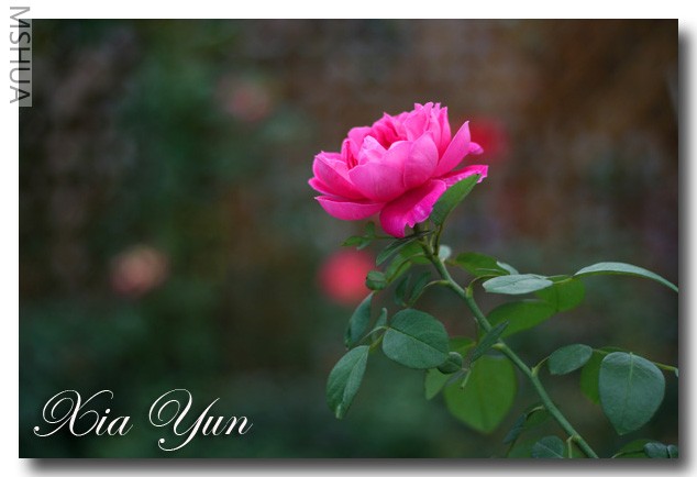 IMG_7928 ��������.jpg