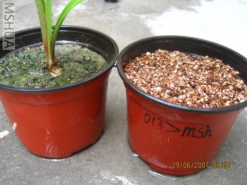 ��Ƭ0629 010_��С��С.jpg