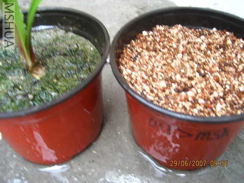 ��Ƭ0629 009_��С��С.jpg