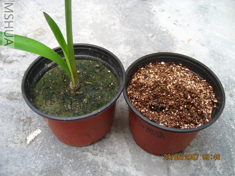 ��Ƭ0629 008_��С��С.jpg