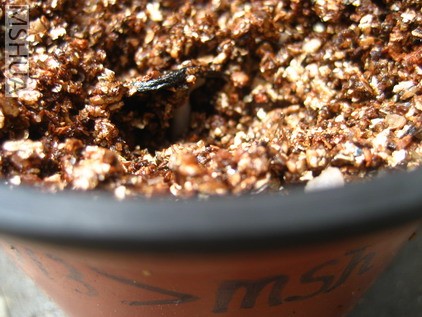 ��Ƭ0629 001_��С��С.jpg