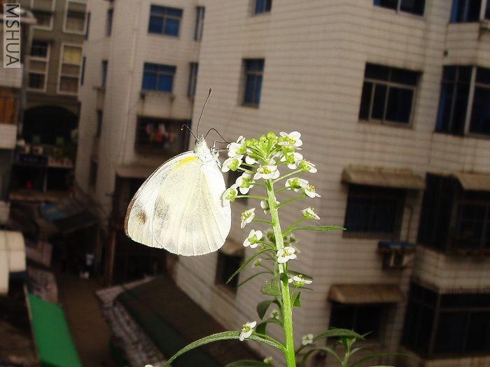DSC03280.jpg