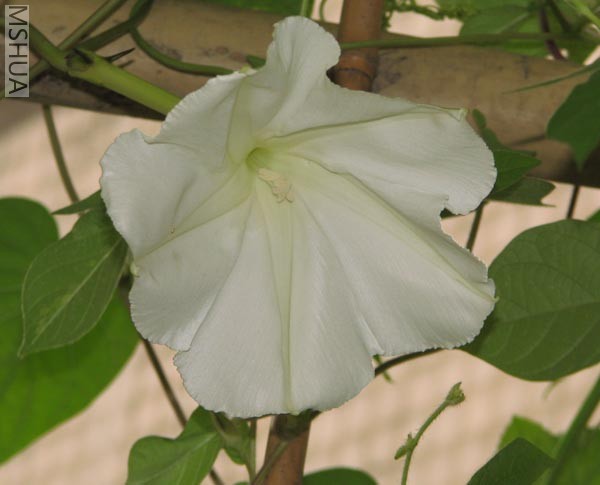 �����¹⿪���ر��磬������������ӾͿ���