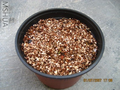 ��Ƭ0629 033_��С��С.jpg