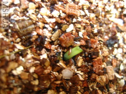 ��Ƭ0629 030_��С��С.jpg