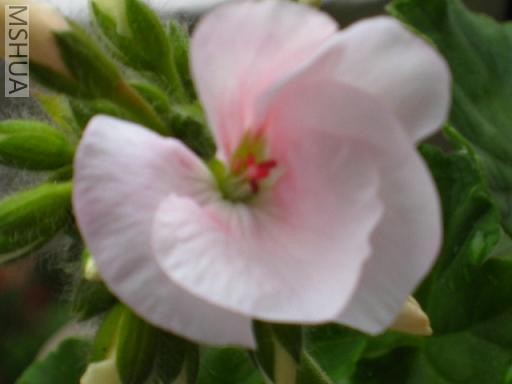 �е㲻�����