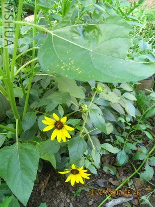 ��Ƭ0629 004_��С��С.jpg