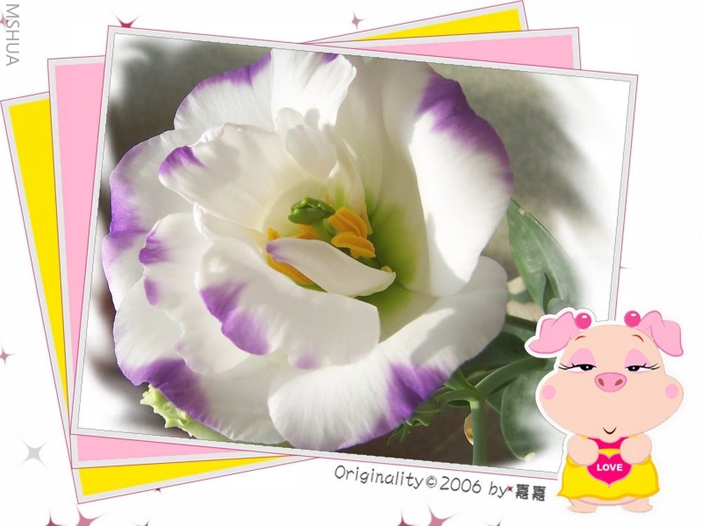 100_3255.jpg