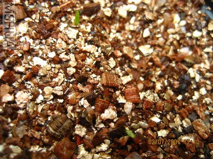 ��Ƭ0629 002_��С��С.jpg