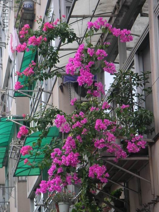 ������С ����÷��̨707032.JPG