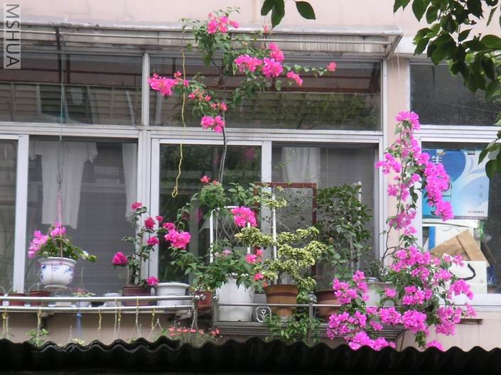 ������С ����÷��̨707036.jpg