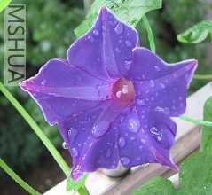 ����֮�� 044������С2.jpg