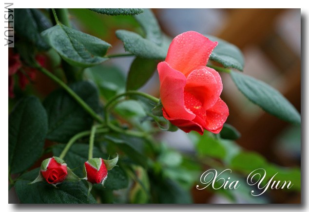 �������