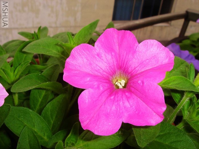 DSC03265.jpg