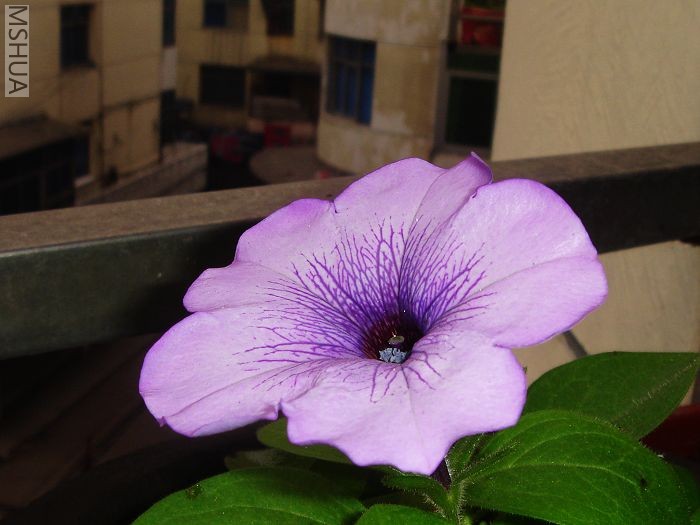 DSC03268.jpg