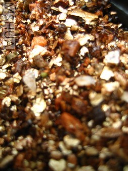 ��Ƭ0629 004_��С��С.jpg