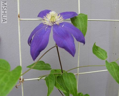 ��������������������