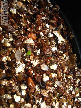 ��Ƭ0629 002_��С��С.jpg