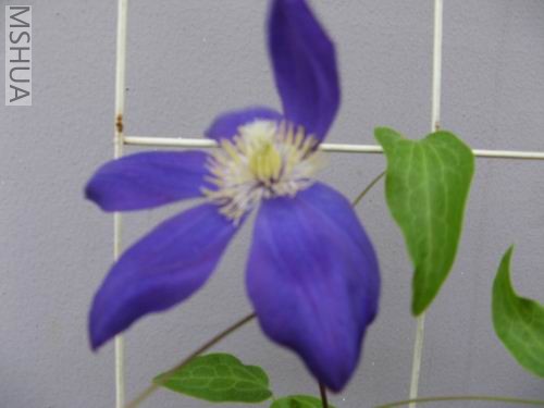 ��������������������