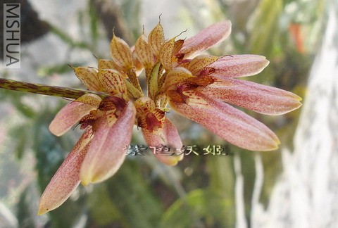 ��ñ������ -1_resize.jpg