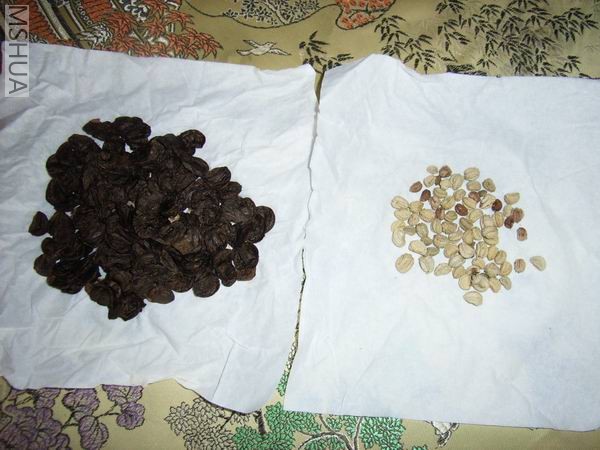 ������Ӻ������Ե����ӡ�����һ�𽻸���ʫ��