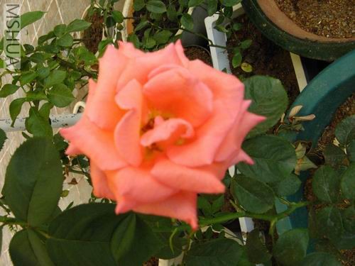 �ӱ������������¼�