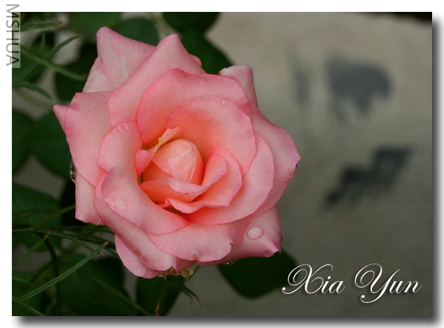 IMG_0089 ��������.JPG