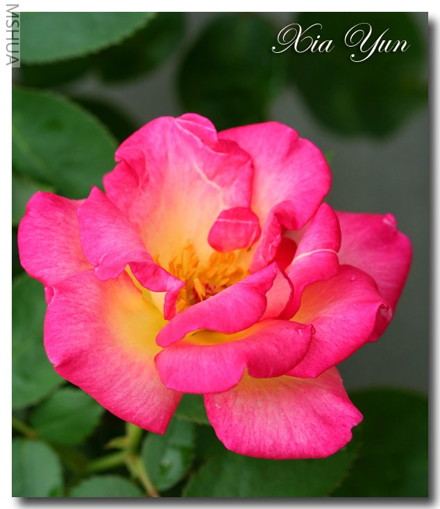 IMG_0103 ��������.JPG