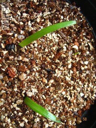 ��Ƭ0629 001_��С��С.jpg