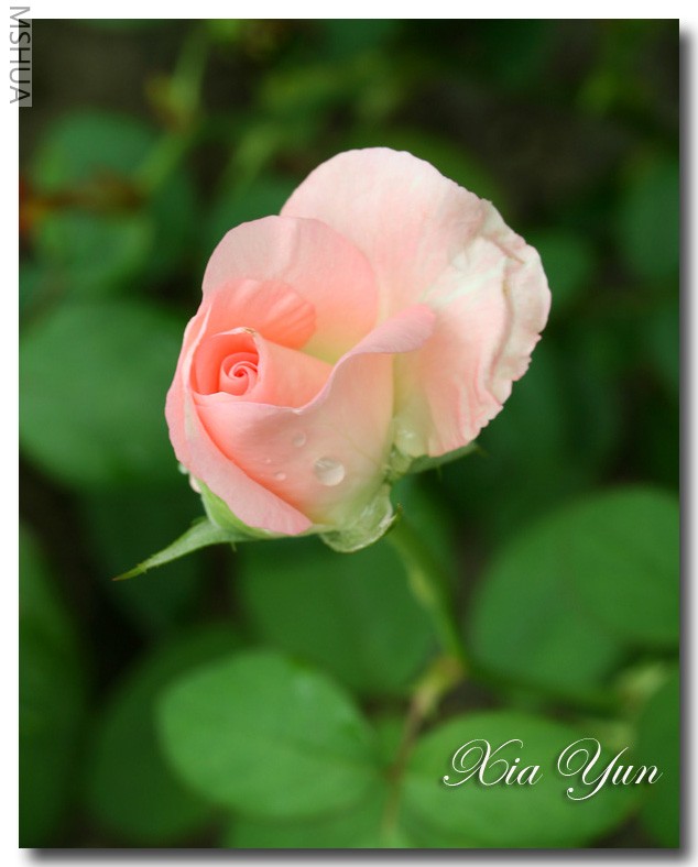 IMG_0090 ��������.jpg