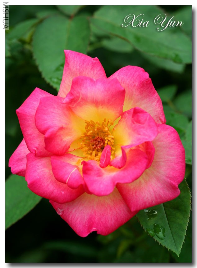 IMG_0106 ��������.jpg