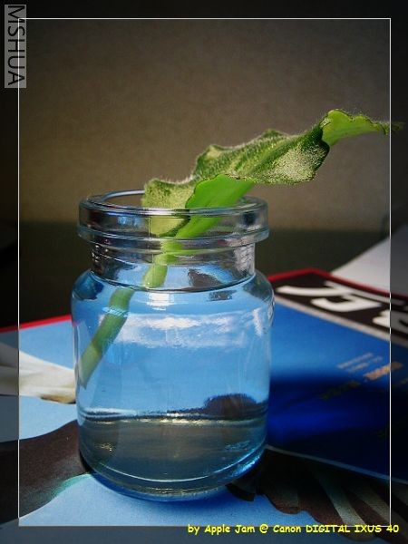 food - ����.jpg