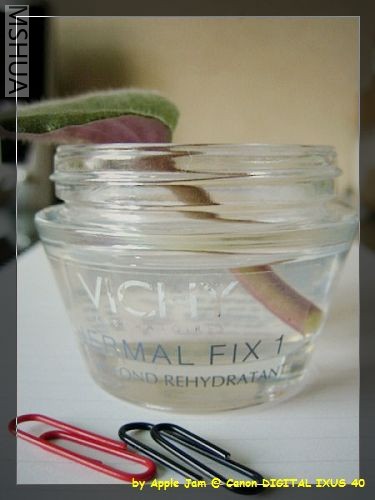 skincare - vichy.jpg