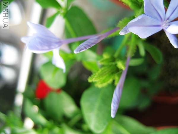 IMG_2973.jpg