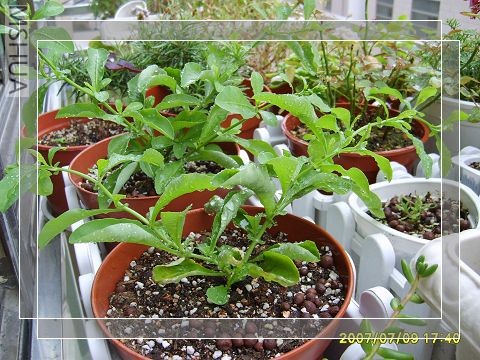 ����ϴ��ұ��϶�