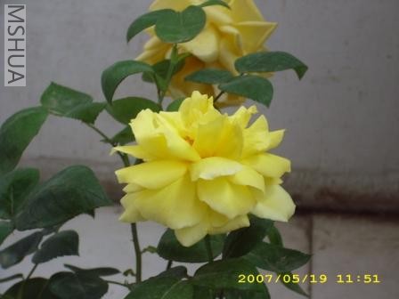 IMG_0002.JPG