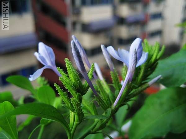 IMG_2969.jpg