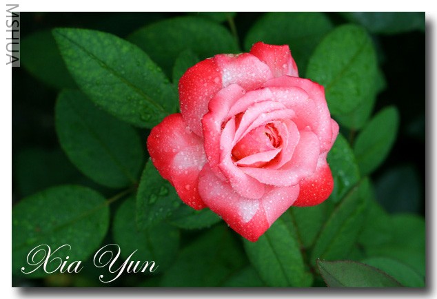 IMG_0146 ��������.jpg