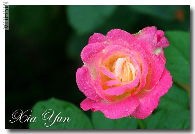 IMG_0135 ��������.jpg