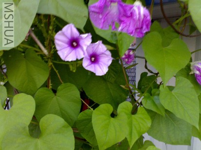 Ϧ����ɫ�����֮ǰ����!