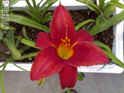 Ӧ���Ǻ���