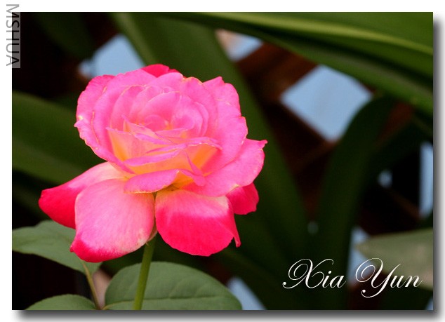 IMG_9390 ��������.jpg